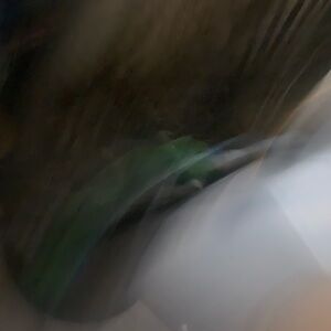 Meet your Posher, Javarion